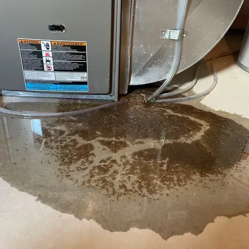 Appliance Leak Cleanup in Pima County, AZ